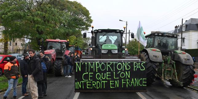 Qu’est-ce que l’accord entre l’Union européenne et le Mercosur ? Comprendre en trois minutes