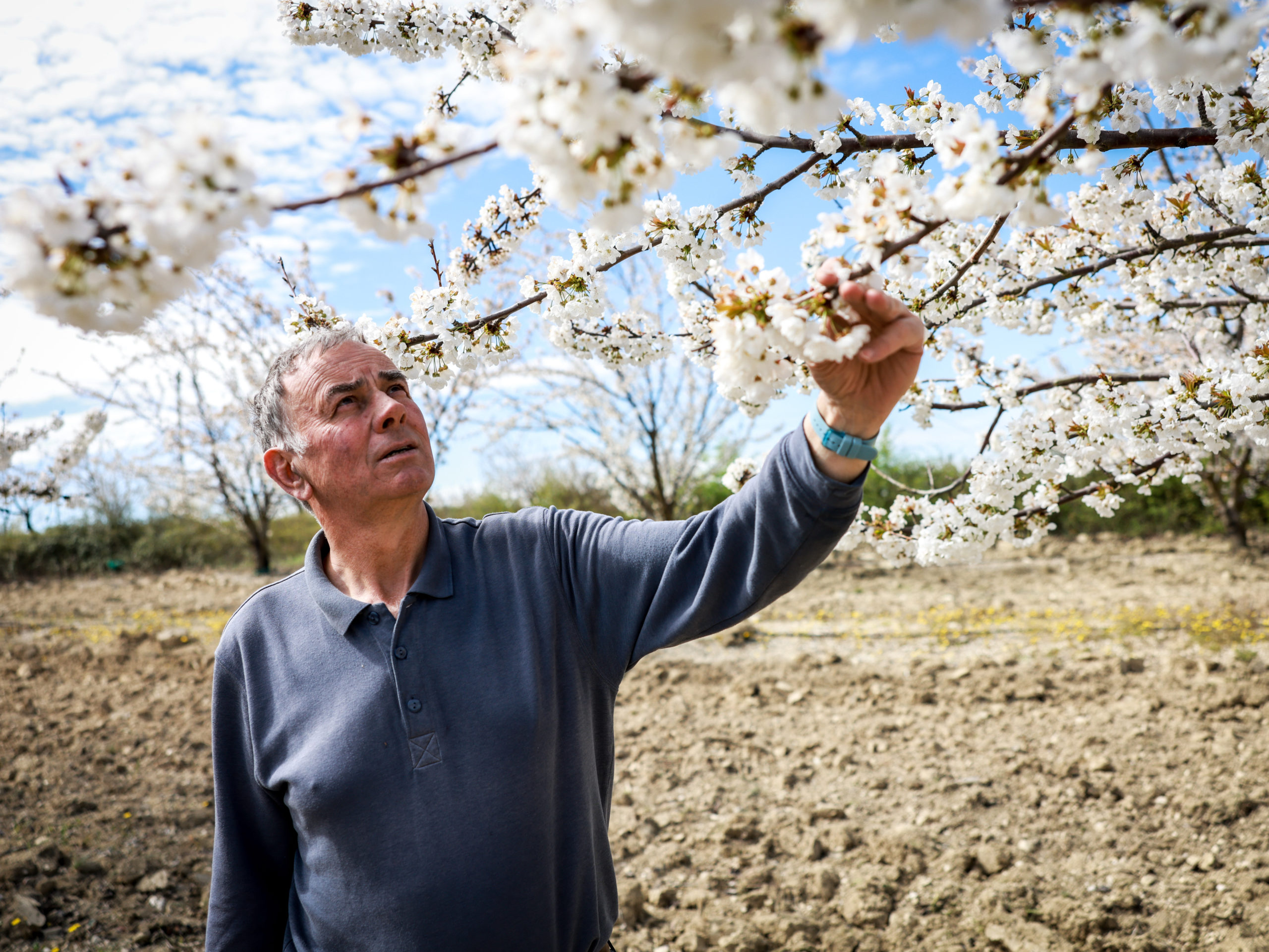 Acte II de la colère agricole : «Je ne suis pas un fana des pesticides, mais je n’ai pas d’autre solution»