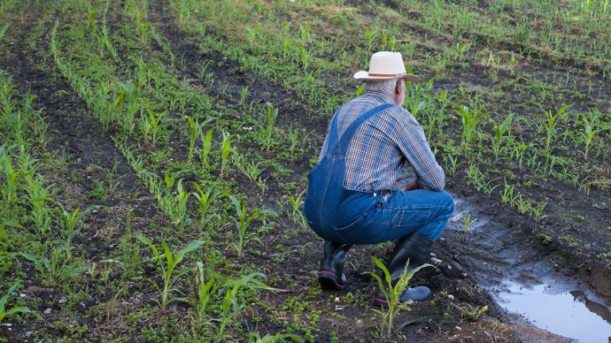 [] Prévenir la détresse des agriculteurs, le combat d’une cellule de la MSA