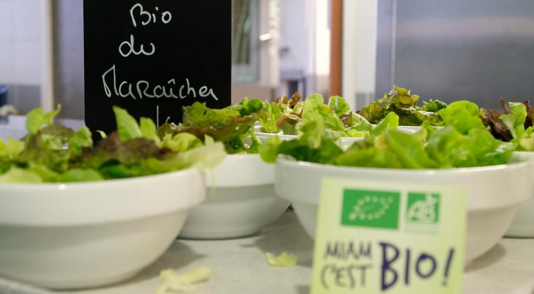 Valorisation des produits : tout savoir sur les signes officiels