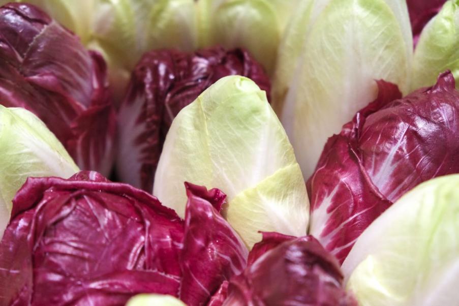 Le chicon, l’endive du Nord