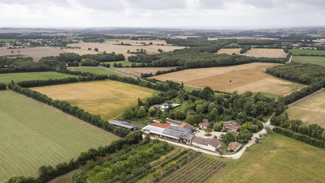 Synthèse de la Commission des comptes de l’agriculture de la nation du 12 décembre 2024