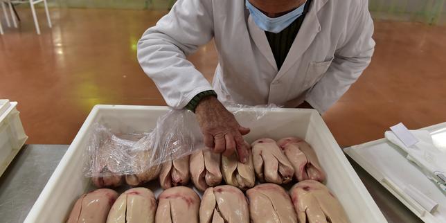 Grippe aviaire : la filière foie gras joue gros à Noël