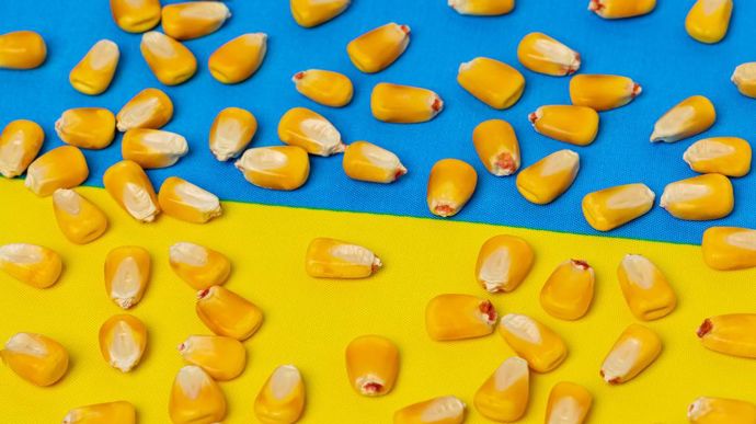 [] Vers une baisse marquée des exports ukrainiens en 2024/25