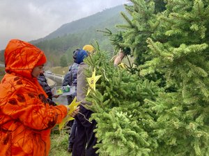 Colère des agriculteurs : la Coordination rurale de la Lozère plante un sapin de Noël