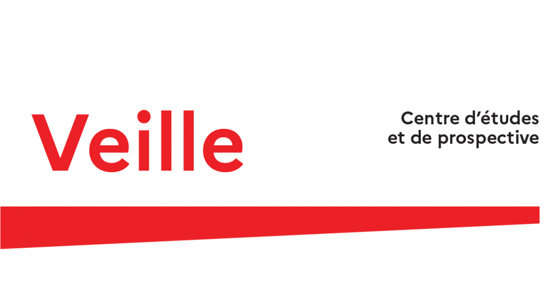 Bulletin de veille – Décembre 2024