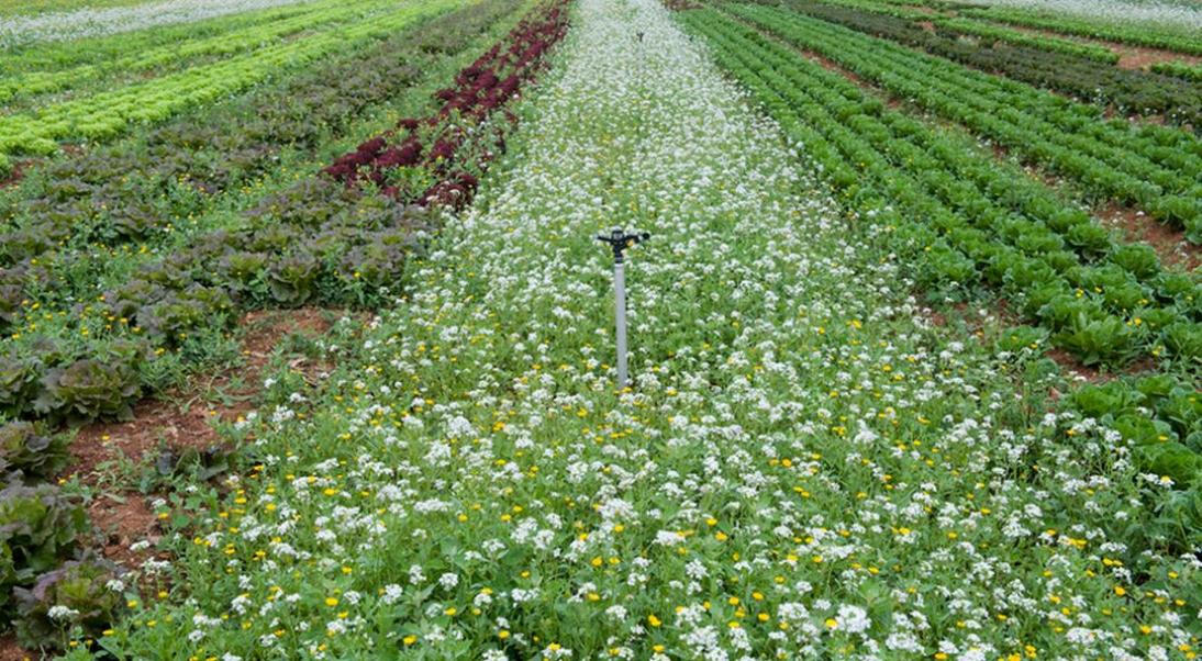 Niveau 2 de la certification environnementale : liste des démarches reconnues et procédure de demande de reconnaissance