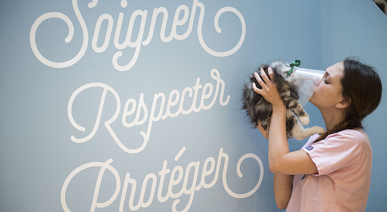 Actualités réglementaires vétérinaires du 18 au 24 janvier 2025 (semaine 4)