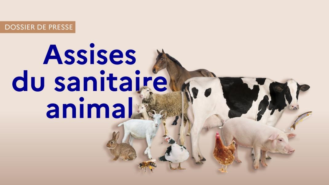Dossier de presse – Assises du sanitaire animal