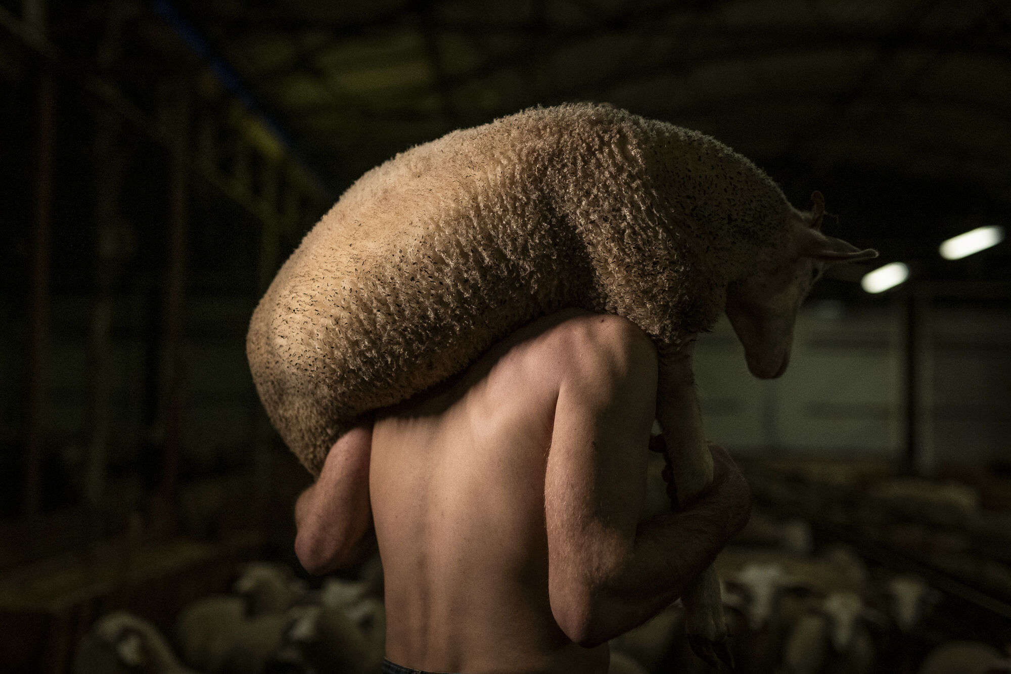 EN IMAGES – Queer des champs