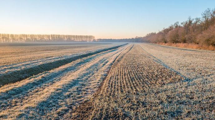 [] 2025 commence mieux que 2024 pour les céréales d’hiver, mais l’inquiétude demeure