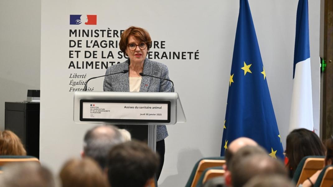 Annie Genevard lance les Assises du sanitaire animal afin de renforcer le dispositif français face aux maladies touchant les élevages