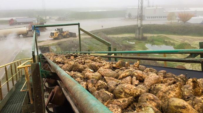 [] Fermeture de la sucrerie de Souppes-sur-Loing : un « coup de massue » pour les planteurs
