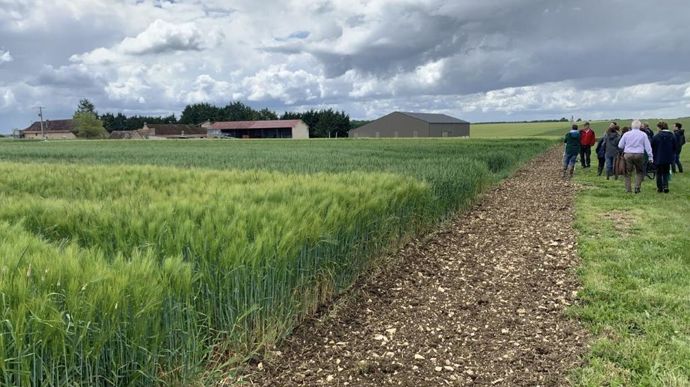 [] Syppre Berry : « le système innovant tire son épingle du jeu en 2024 »