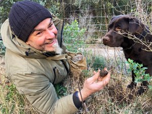 La truffe : l’or noir de Saint-Guilhem se nourrit de symbioses