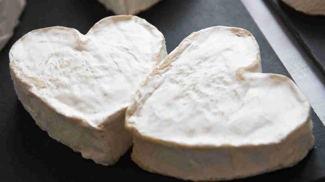 À la découverte du Neufchâtel AOP, cœur fondant de Normandie