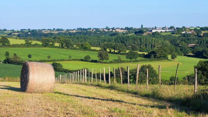 [] Le Sénat termine l’examen du projet de loi d’orientation agricole