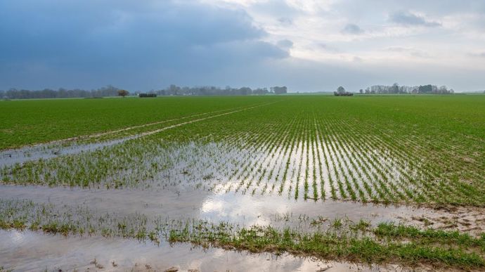 [] Un rebond limité et contrasté des surfaces de céréales d’hiver