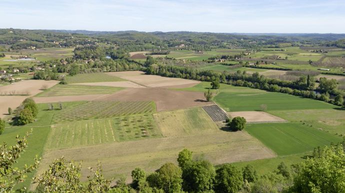 [] Comment les différents pays européens régulent-ils le foncier agricole ?