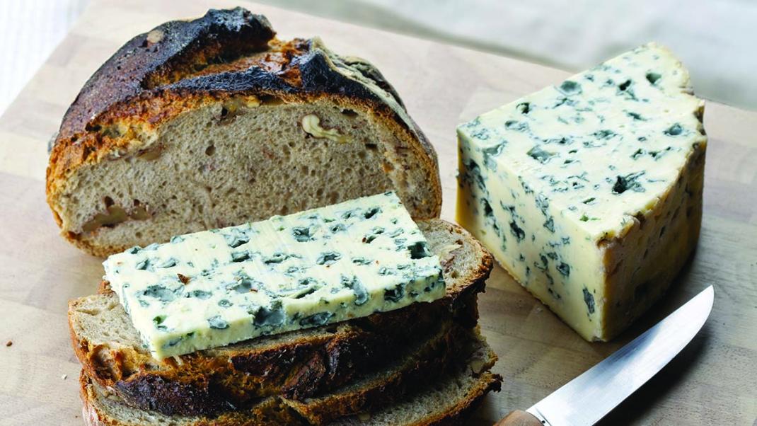 Le Bleu d’Auvergne AOP, une montagne de saveurs