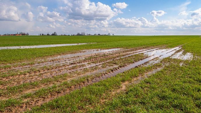 [] Excès d’eau : un diagnostic s’impose pour les parcelles impactées