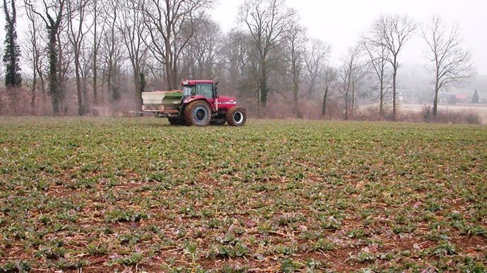 [] Colza : Adapter la fertilisation azotée et soufrée à l’année