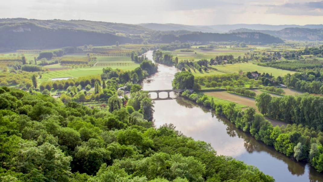 La forêt française en chiffres