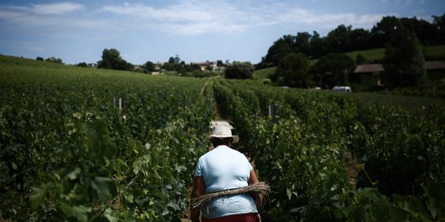 « Les femmes jouent un rôle important dans l’essor de l’agriculture bio et la recherche de nouvelles façons de travailler »