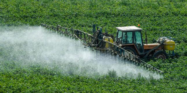 « Plutôt que de réautoriser les néonicotinoïdes, la France devrait encourager une interdiction de ces substances à l’échelle européenne »