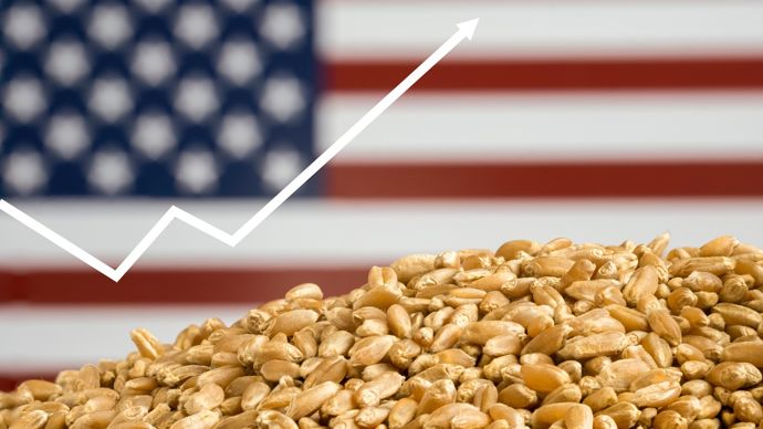 [] Blé, maïs, soja dans le vert: et si la guerre commerciale épargnait les grains ?