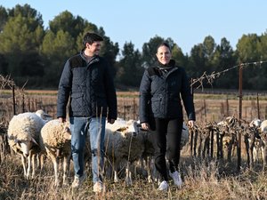 ELIXIR. Découvrir l’agriculture en voyageant avec Agricult’Events