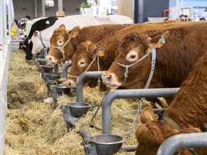 Salon de l’agriculture : évènements, exposants, le Maroc à l’honneur… le programme complet de l’édition 2025