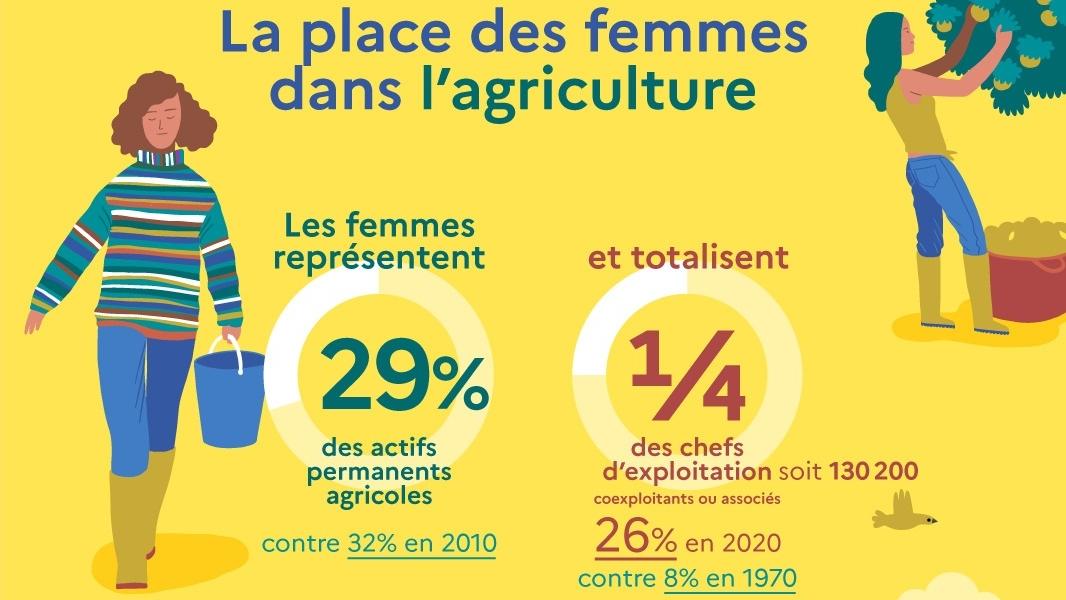 Infographie – La place des femmes dans l’agriculture