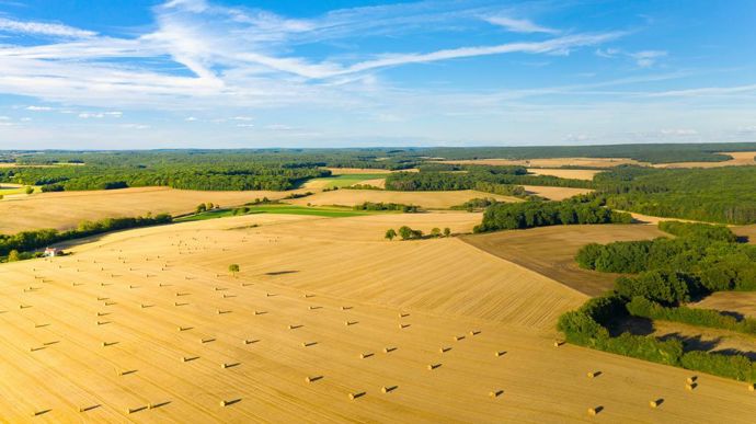 [] Face au changement climatique, les céréaliers misent sur le commerce et la science