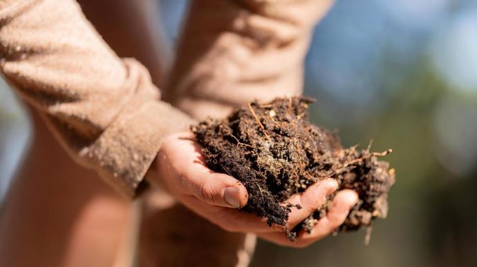 [] La formation des ingénieurs en agriculture à l’heure des transitions