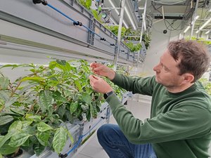 “Le Grenier de la Mosson” : derrière le portail d’un ancien garage désaffecté, l’agriculture urbaine pousse à Montpellier