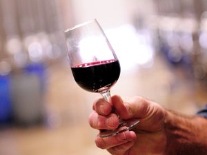 Concours des Vinalies internationales : les vignerons du Biterrois brillent de mille feux