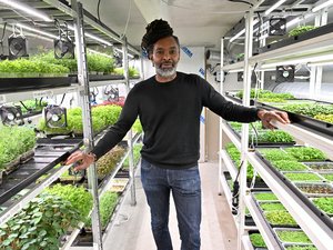Chez « Les Pousses de Louise », micropousses de légumes et de plantes aromatiques sont cultivées en sous-sol à Montpellier