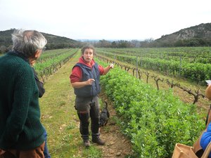 Elle multiplie les alternatives aux pesticides : la vigneronne Anne-Laure Sicard réinvente l’agriculture à Saint-Privat
