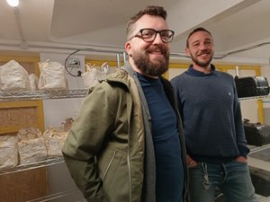 Crinière de Lion, Pioppino, Eryngii… : sous vos pieds, au « Grenier de la Mosson », Bastien et Bruno cultivent des champignons rares à Montpellier
