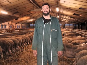 Aux sources de l’AOP Roquefort : Pierre Cassan, un agriculteur passionné entre tradition et innovation