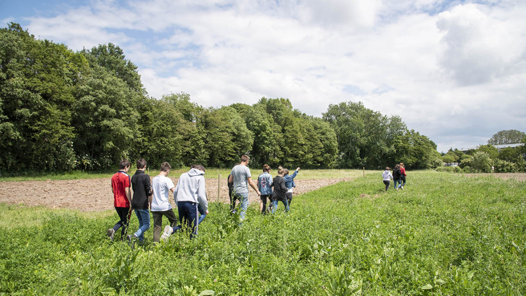 La loi d’orientation pour la souveraineté alimentaire et le renouvellement des générations en agriculture entre en vigueur
