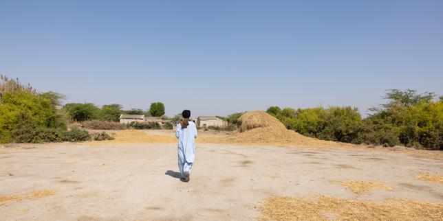 Au Pakistan, la lutte quotidienne des habitants contre les périls climatiques : inondations à répétition, crises alimentaires et canicules