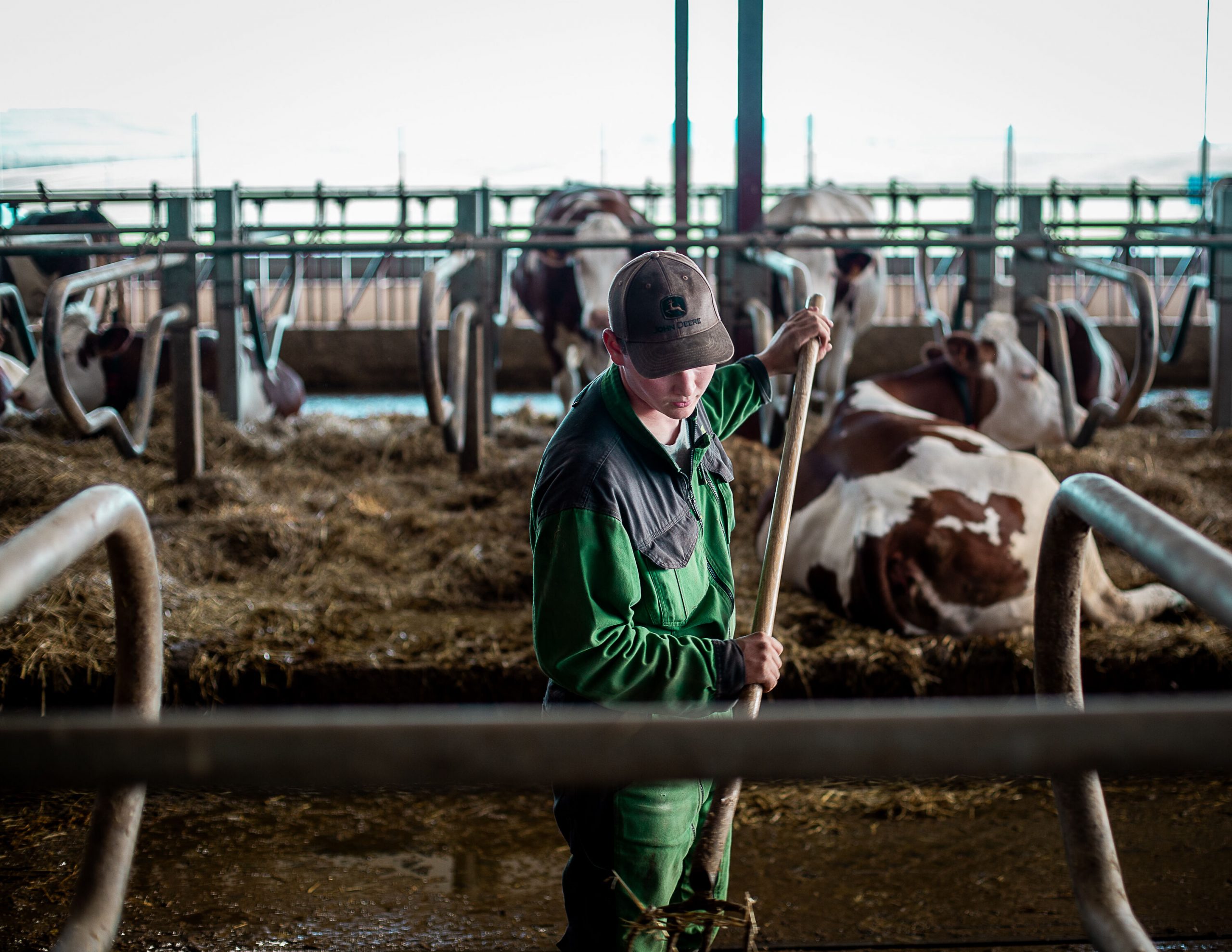 «On veut être l’exemple de ceux qui se battent» : après l’abandon par Lactalis, les éleveurs de Haute-Saône veulent se reconstruire en collectif