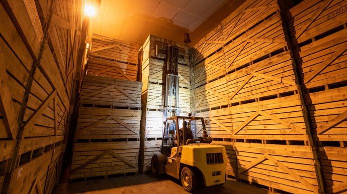 [] Production de pomme de terre biologique 2024 : légère baisse des volumes