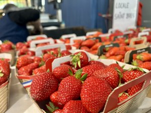 La fraise est de retour sur les étals : variétés, saison, prix, conservation… le guide complet pour bien choisir ce que vous achetez