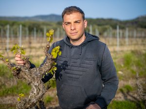 Baisse de la consommation de vin : « Les clients recherchent la qualité plutôt que la quantité », relève un acteur viticole du Languedoc