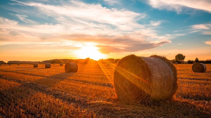 Les grandes tendances météo jusqu’à la moisson