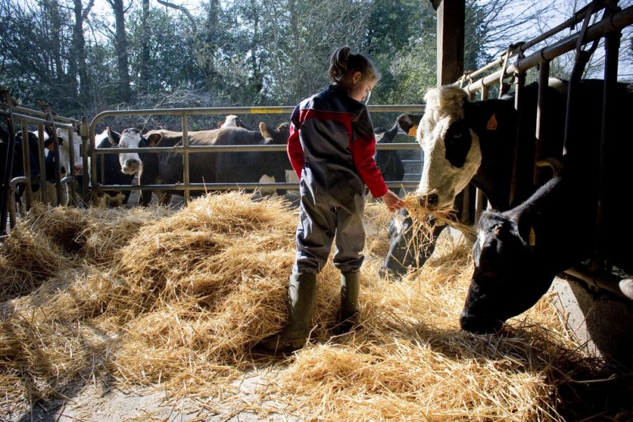 L’INAF, un dispositif de financement public innovant en faveur du renouvellement des générations et de la souveraineté agricole