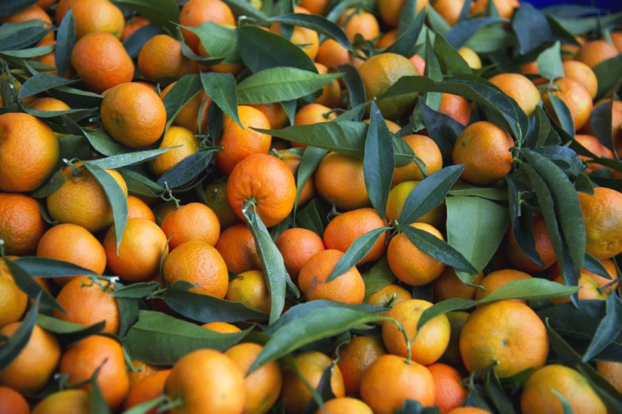 Clémentine, mandarine : quelles différences ?